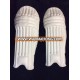 Hard Ball Cricket Pads and Gloves